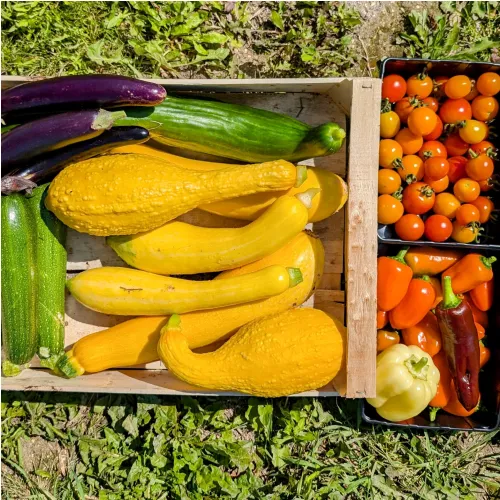 Panier de légumes