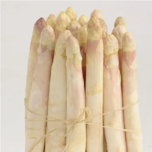 Asperges blanches