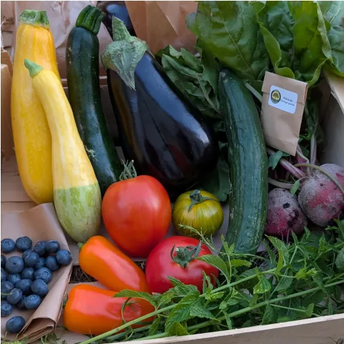 Panier de légumes